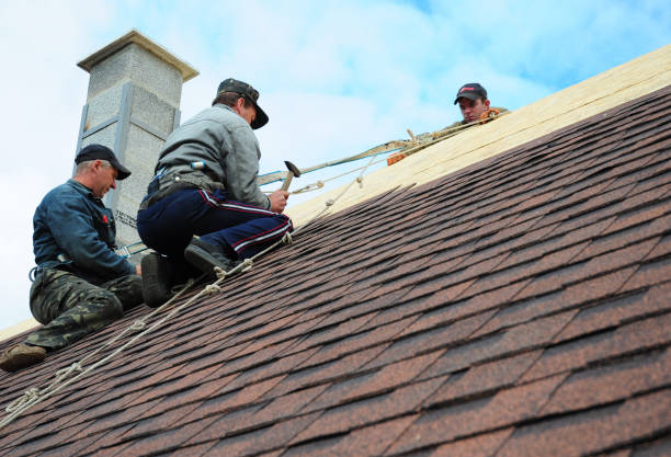 Best Roof Waterproofing Services  in Harb, OR